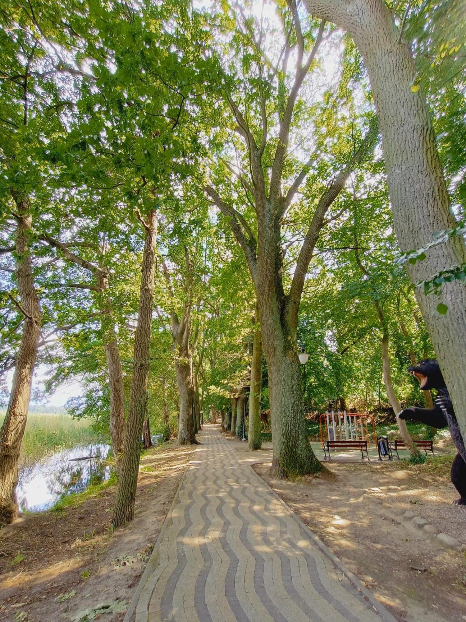 Domki Obok Plazy Moryn Exteriér fotografie