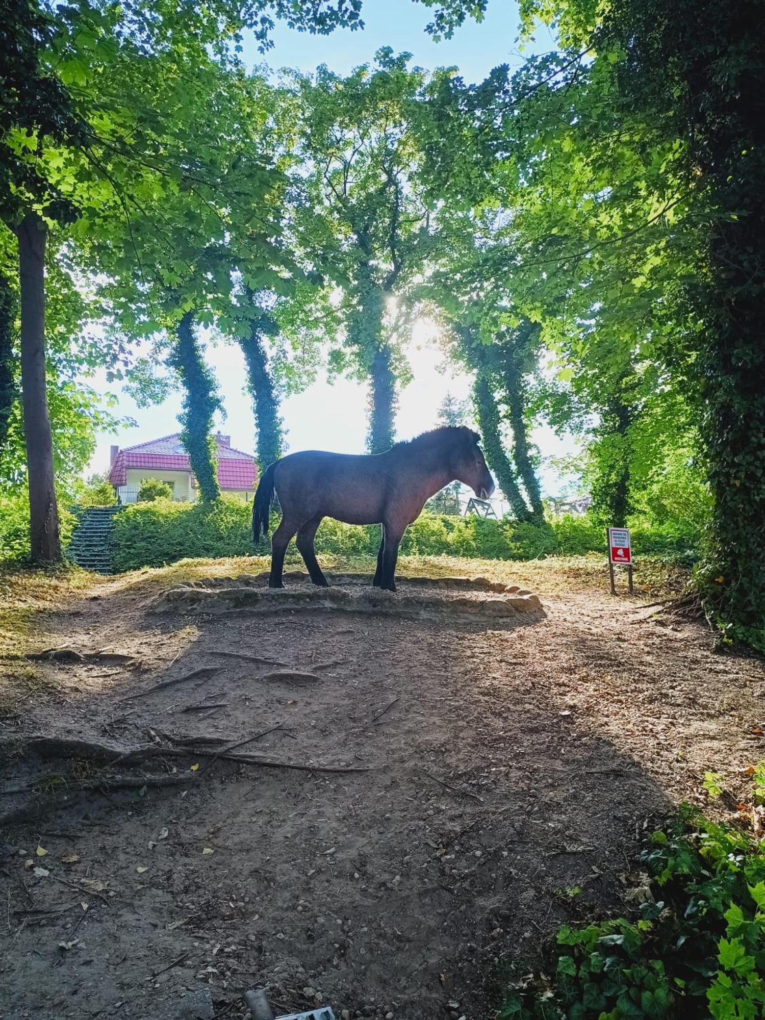 Domki Obok Plazy Moryn Exteriér fotografie